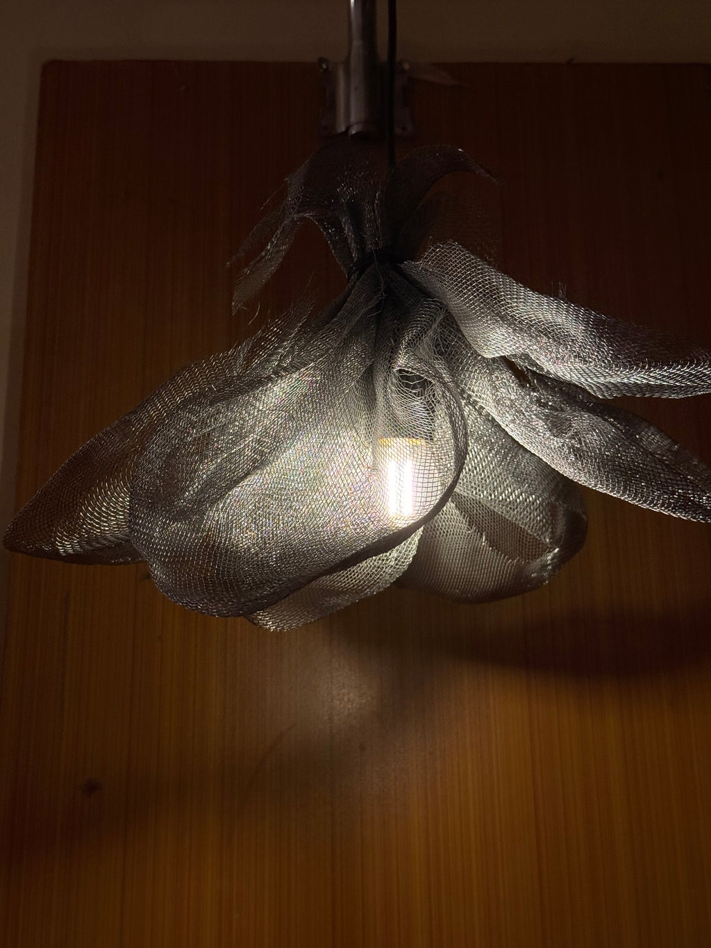 Charaagaan III | Sculptural Wire Mesh Hanging Lamp