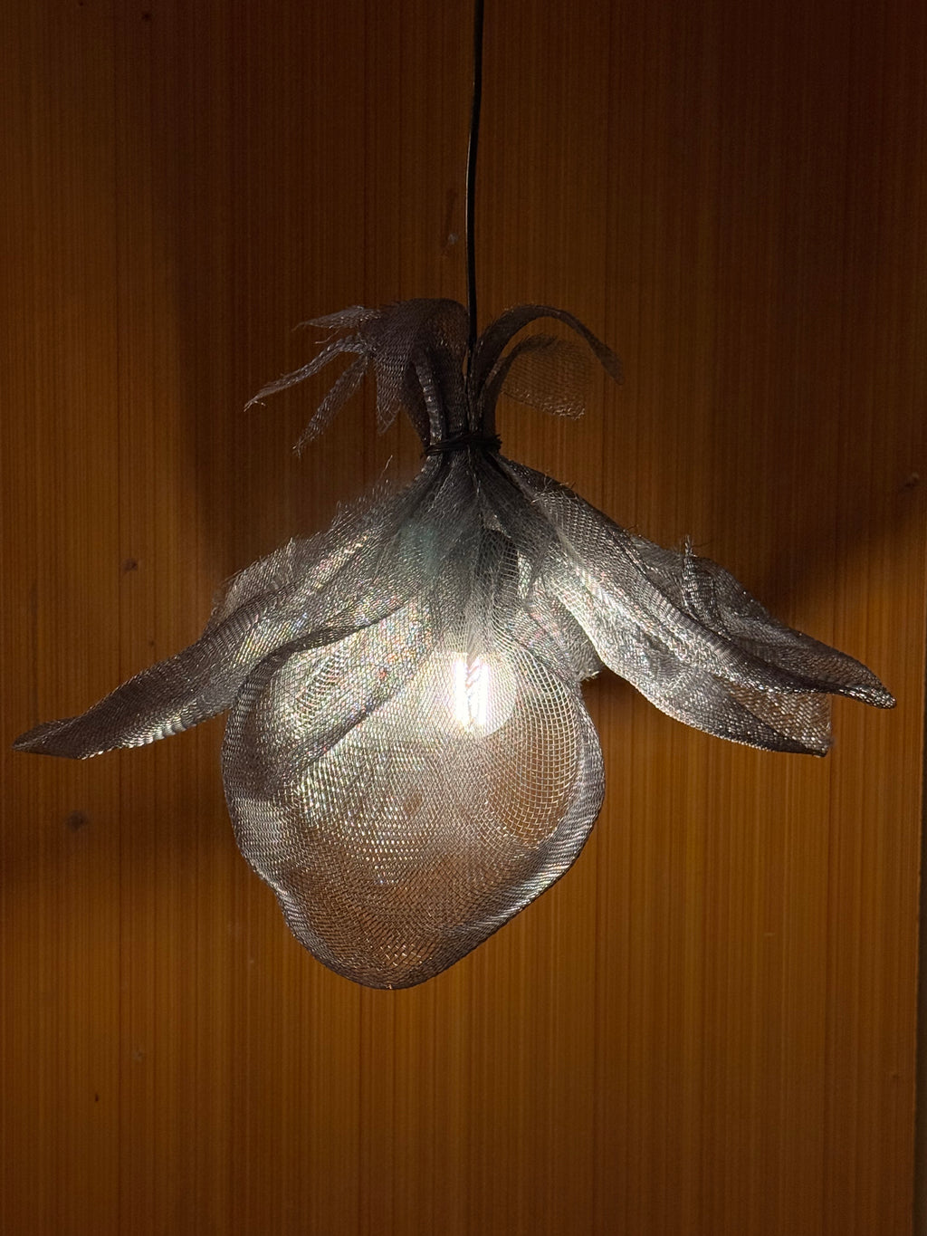 Charaagaan III | Sculptural Wire Mesh Hanging Lamp