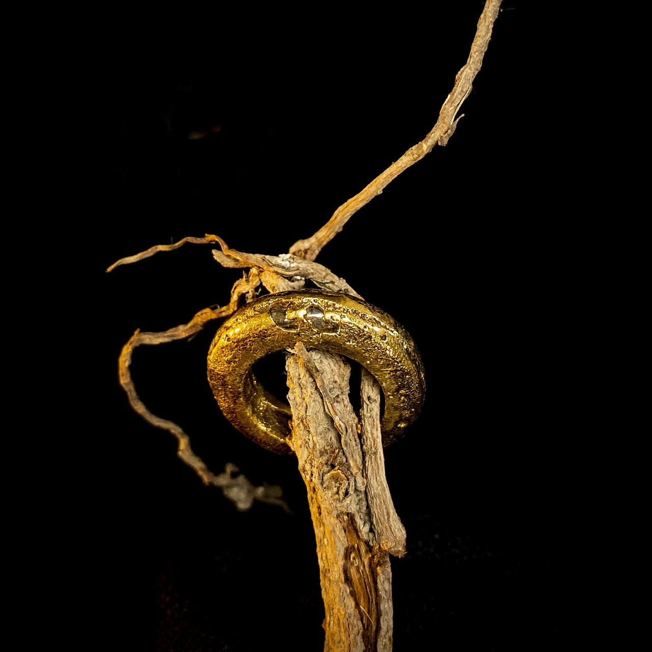 Khuwahish II – Handmade Sculptural Jewelry